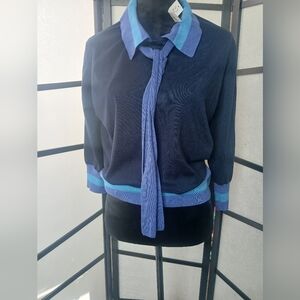 Navy and Blue Sweater With Stripe Trim